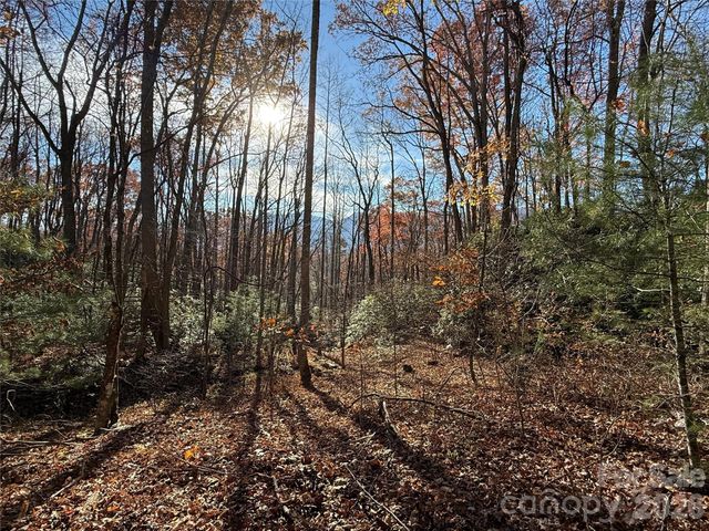 0000 Halls Chapel Road, Burnsville, NC 28714