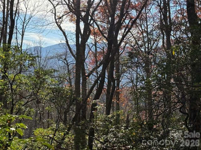0000 Halls Chapel Road, Burnsville, NC 28714