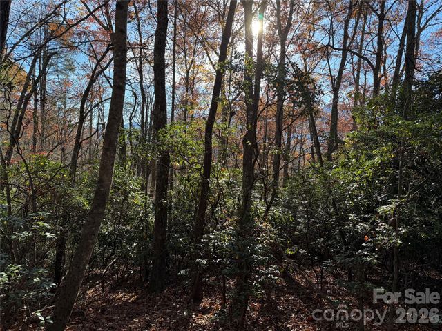 0000 Halls Chapel Road, Burnsville, NC 28714