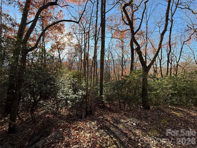 0000 Halls Chapel Road, Burnsville, NC 28714