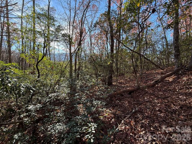 0000 Halls Chapel Road, Burnsville, NC 28714