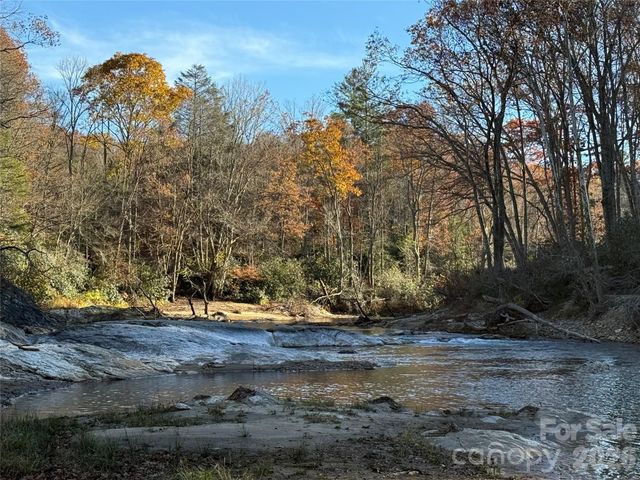 0000 Halls Chapel Road, Burnsville, NC 28714