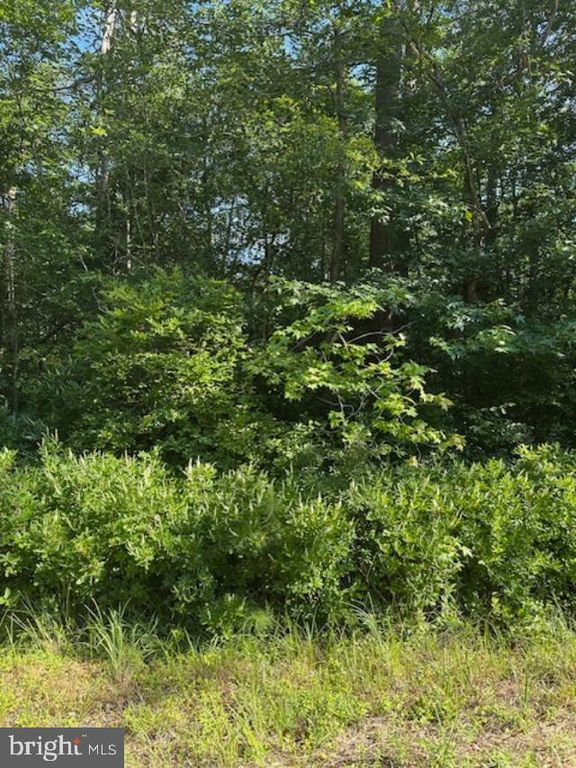 LOT 22 LAKE DRIVE, Colonial Beach, VA 22443