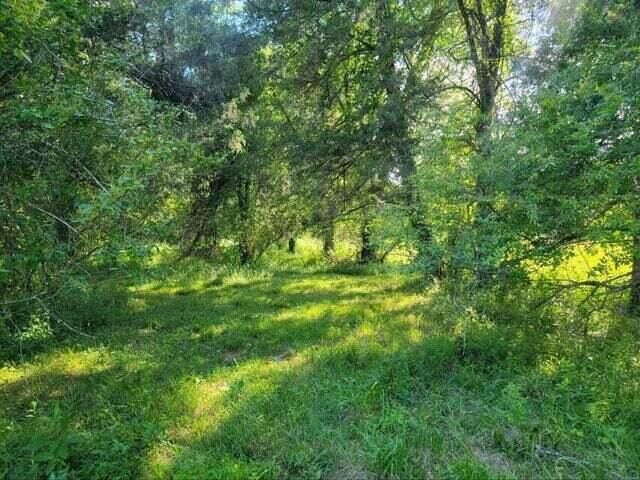 4635 Old Dixie Highway Off Highway, Evensville, TN 37332