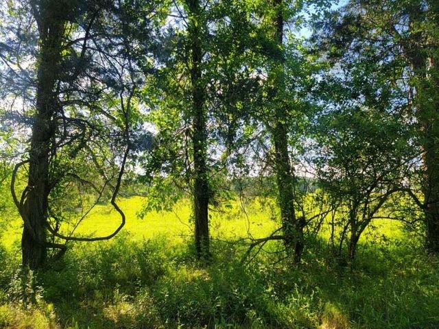 4635 Old Dixie Highway Off Highway, Evensville, TN 37332