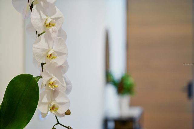 948 CITRUS AVENUE, Sarasota, FL 34236