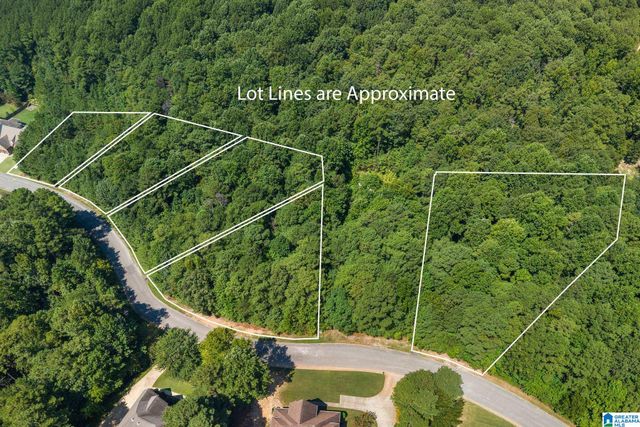 1040 OVERLOOK DRIVE, Trussville, AL 35173