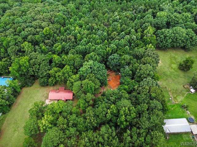 13757 Crystal Lake, Coker, AL 35452