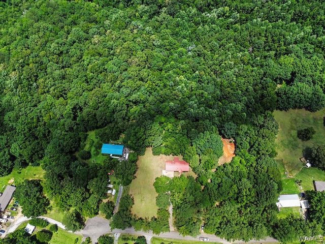 13757 Crystal Lake, Coker, AL 35452
