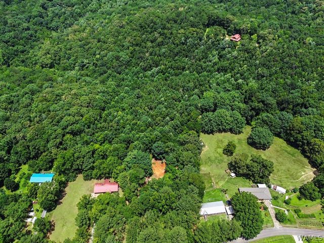 13757 Crystal Lake, Coker, AL 35452