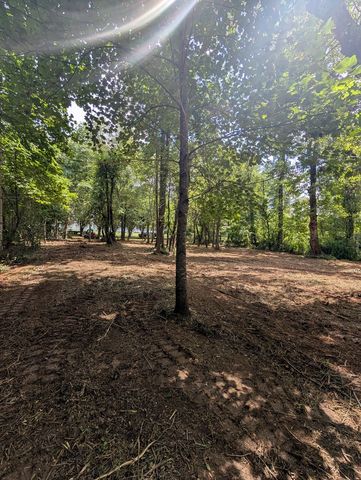 1.0 Ac Old Hwy 64 W, Warne, NC 28909