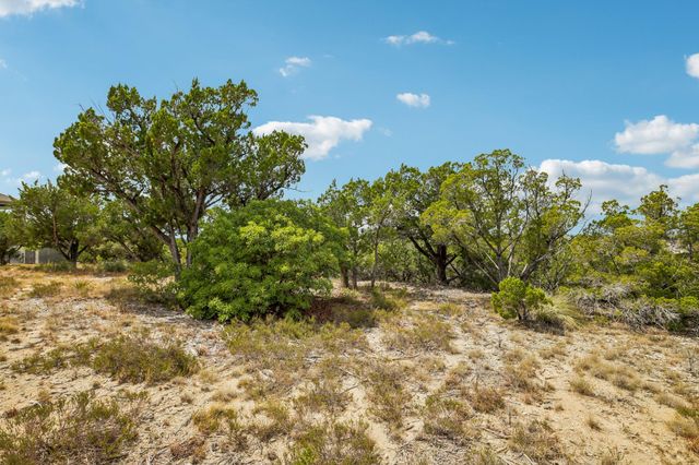 420 Lindale CV, Austin, TX 78738