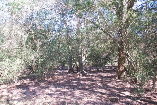 TBD FM 532, Hallettsville, TX 77964