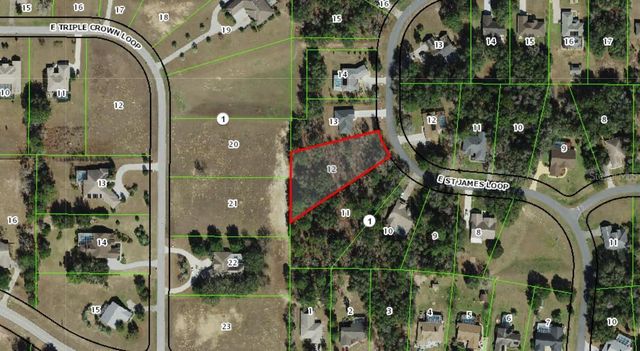 1443 E SAINT JAMES LOOP, Inverness, FL 34453