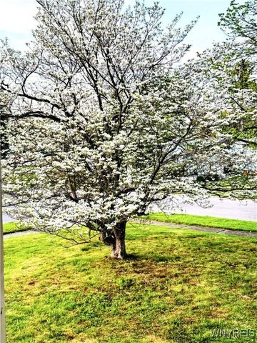 390 Delaware Avenue, Jamestown, NY 14701