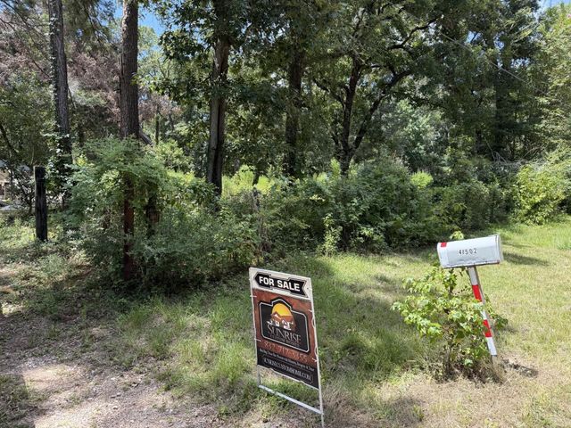 41502 S Buckhorn Lane, Magnolia, TX 77354