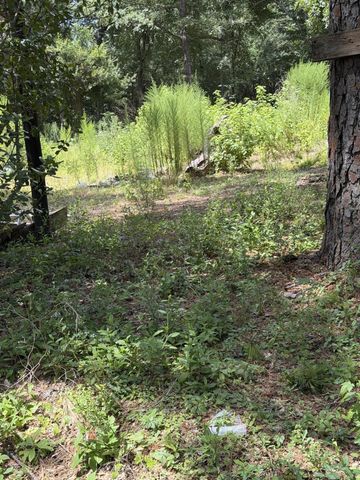 41502 S Buckhorn Lane, Magnolia, TX 77354