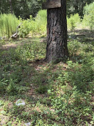 41502 S Buckhorn Lane, Magnolia, TX 77354