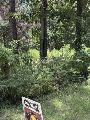 41502 S Buckhorn Lane, Magnolia, TX 77354