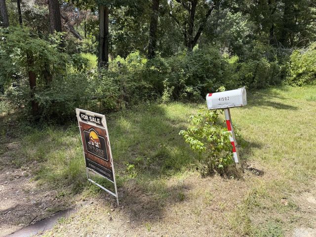41502 S Buckhorn Lane, Magnolia, TX 77354