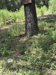 41502 S Buckhorn Lane, Magnolia, TX 77354