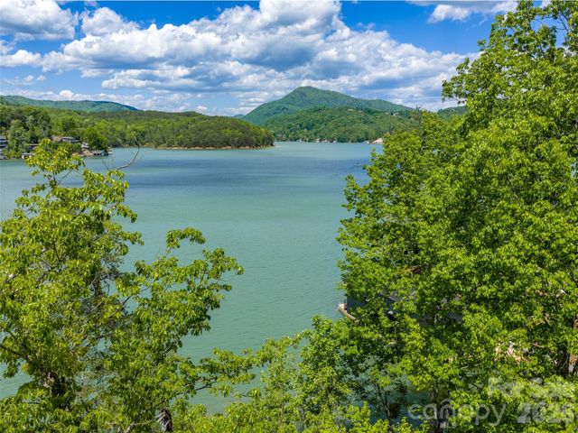 99999 Hawthorne Drive, Lake Lure, NC 28746