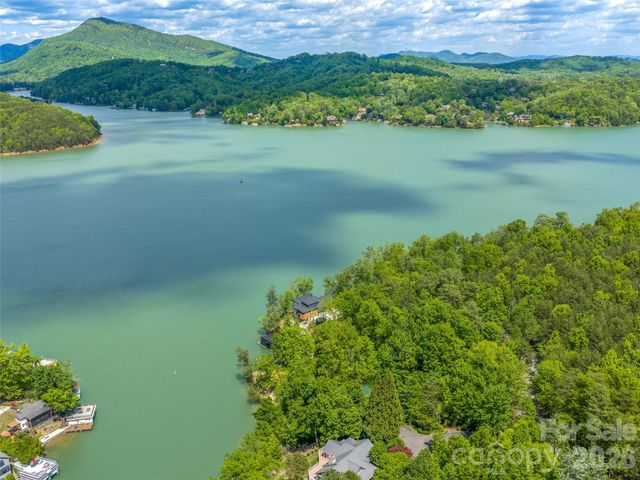 99999 Hawthorne Drive, Lake Lure, NC 28746