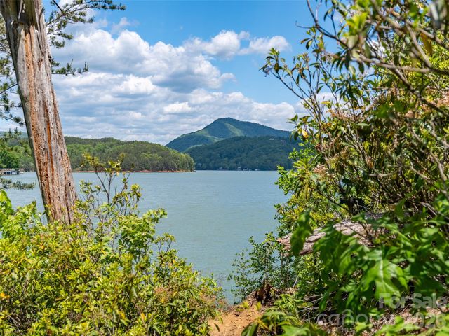 99999 Hawthorne Drive, Lake Lure, NC 28746