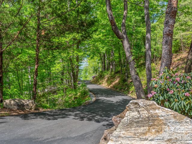 99999 Hawthorne Drive, Lake Lure, NC 28746