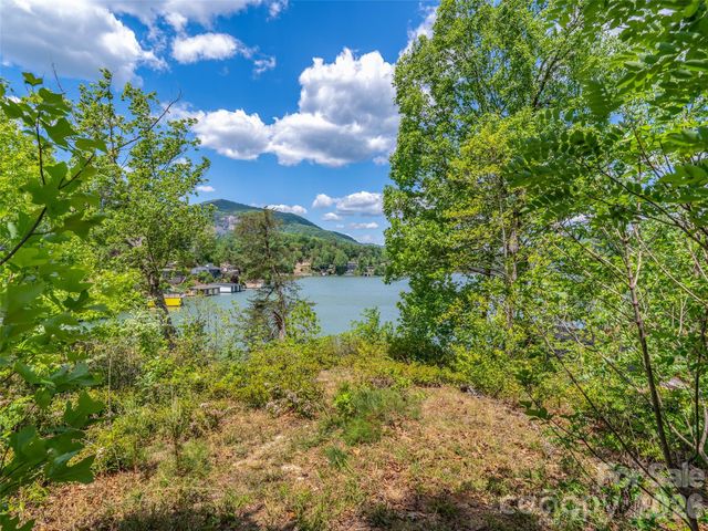 99999 Hawthorne Drive, Lake Lure, NC 28746