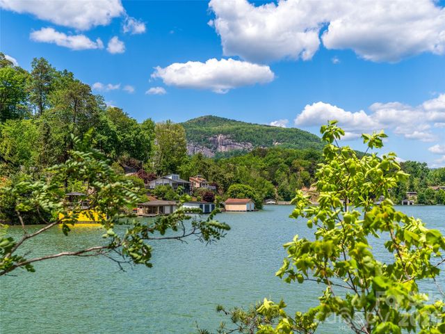 99999 Hawthorne Drive, Lake Lure, NC 28746