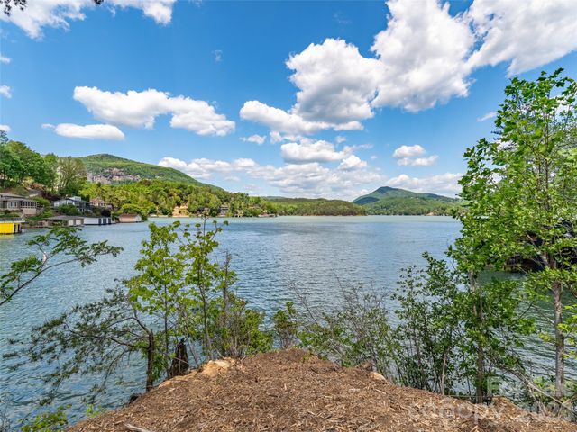 99999 Hawthorne Drive, Lake Lure, NC 28746