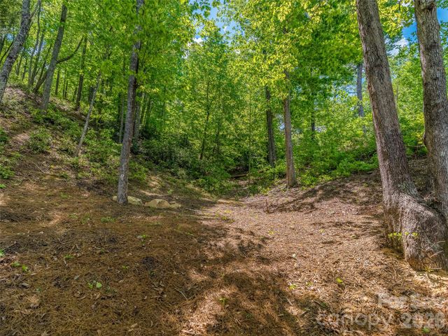 99999 Hawthorne Drive, Lake Lure, NC 28746