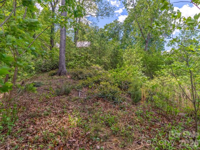 99999 Hawthorne Drive, Lake Lure, NC 28746