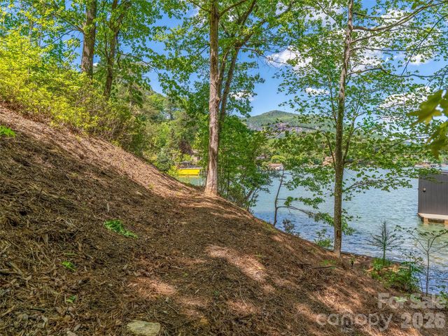 99999 Hawthorne Drive, Lake Lure, NC 28746