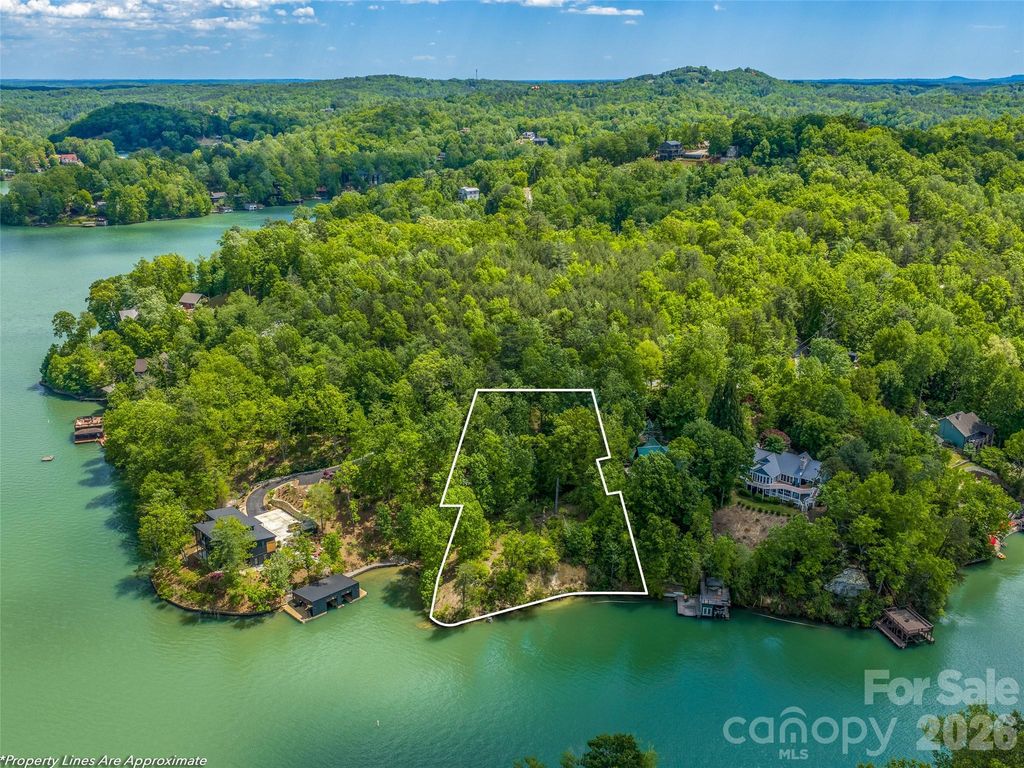 99999 Hawthorne Drive, Lake Lure, NC 28746
