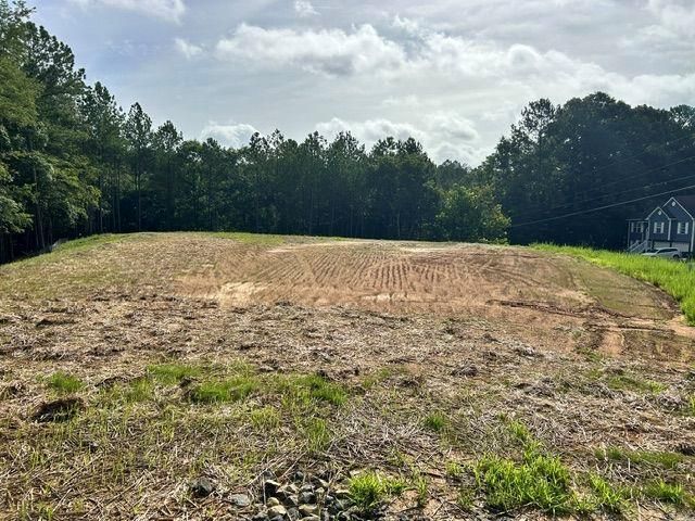 389 Timothy Drive, Dallas, GA 30132