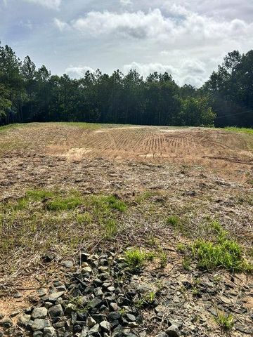 389 Timothy Drive, Dallas, GA 30132