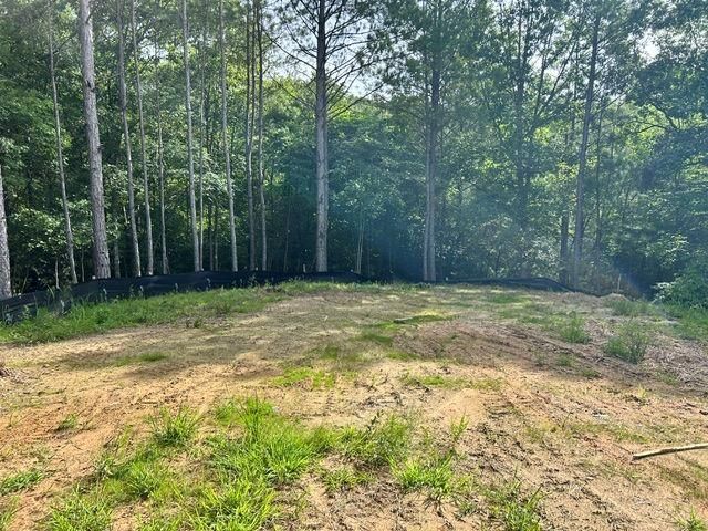 389 Timothy Drive, Dallas, GA 30132