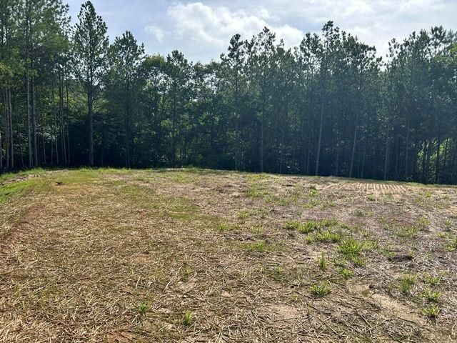 389 Timothy Drive, Dallas, GA 30132