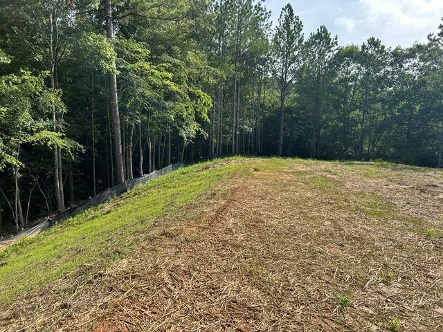 389 Timothy Drive, Dallas, GA 30132