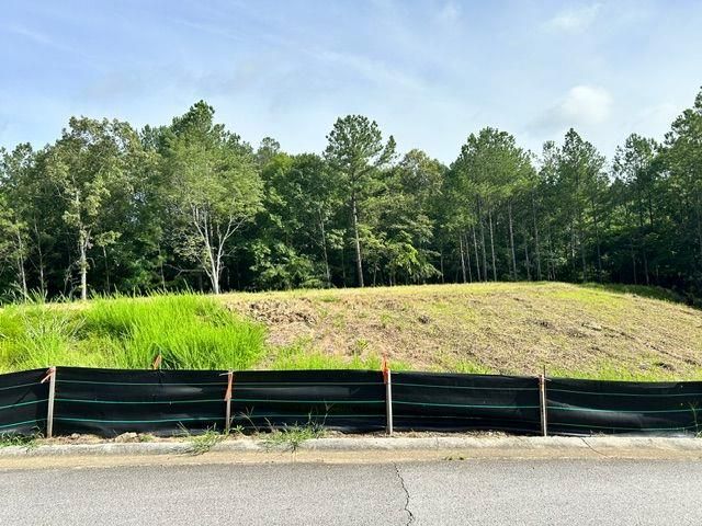 389 Timothy Drive, Dallas, GA 30132