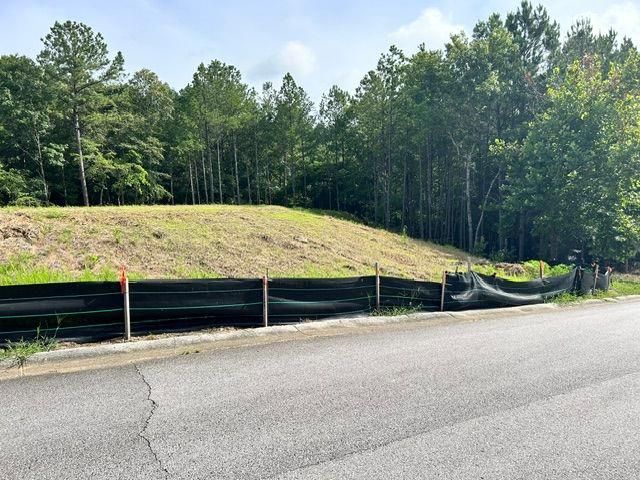 389 Timothy Drive, Dallas, GA 30132
