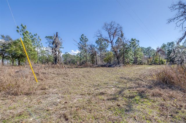 5555 N MUSLIN TERRACE, Dunnellon, FL 34433