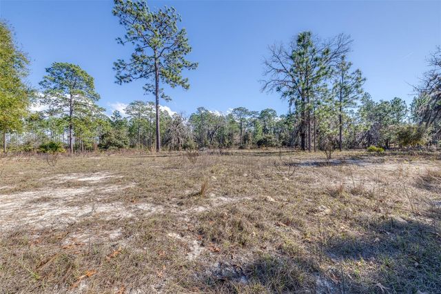 5555 N MUSLIN TERRACE, Dunnellon, FL 34433