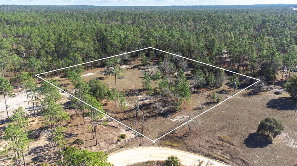 5555 N MUSLIN TERRACE, Dunnellon, FL 34433