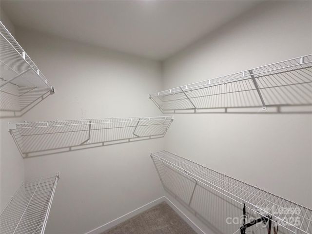 2053 Birchside Drive, Charlotte, NC 28205