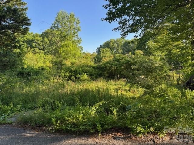 202 Dundee Street, Hendersonville, NC 28791