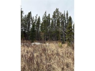 111 Silver Creek Rd, Idaho Springs, CO 80452