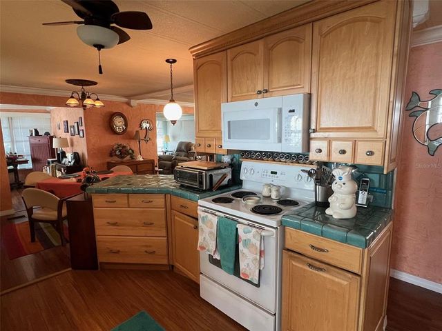 53 PINDO PALM STREET E, Largo, FL 33770